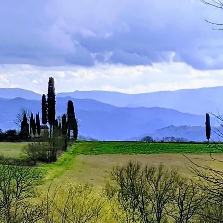 TUSCANY FLORENCE HILLS garden&Pool Vicchio Exterior foto
