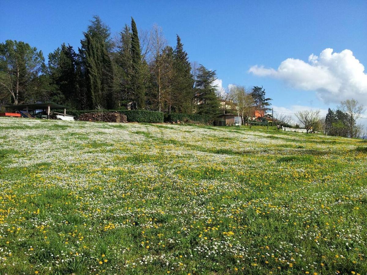 TUSCANY FLORENCE HILLS garden&Pool Vicchio Exterior foto