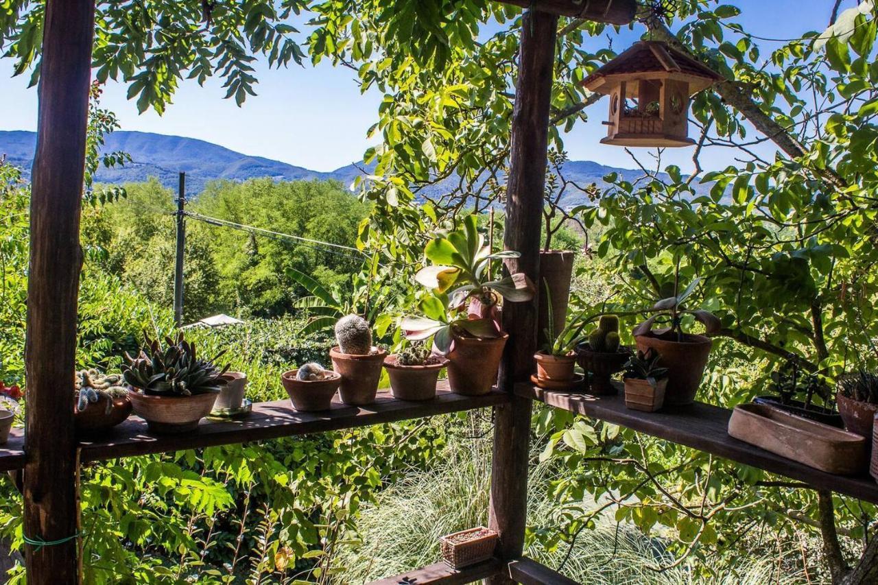 TUSCANY FLORENCE HILLS garden&Pool Vicchio Exterior foto