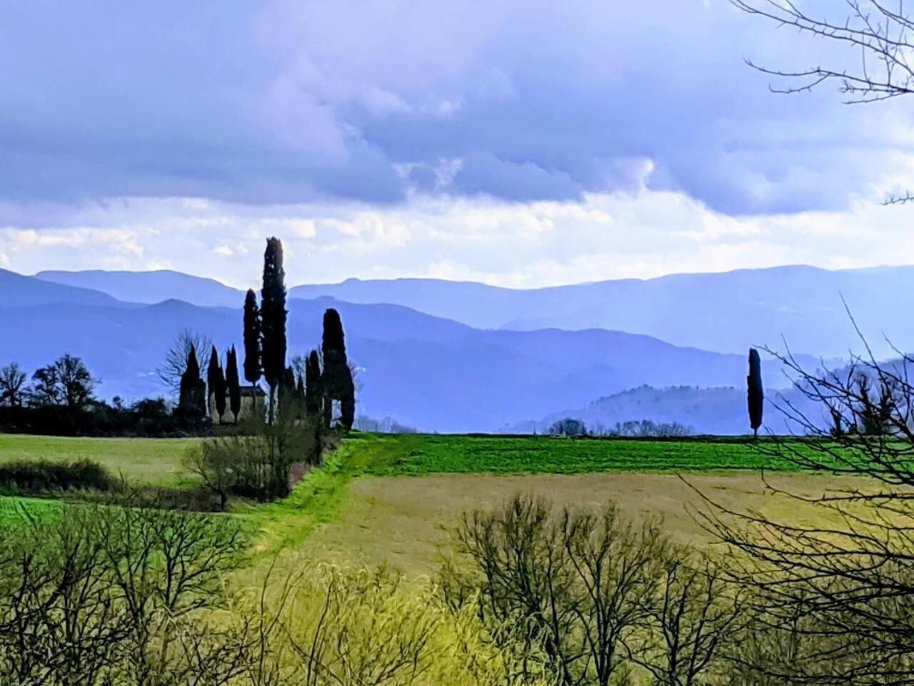 TUSCANY FLORENCE HILLS garden&Pool Vicchio Exterior foto